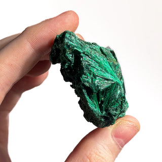 Silky Malachite Clusters