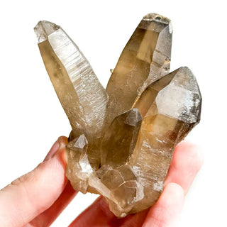 Raw Smoky Citrines
