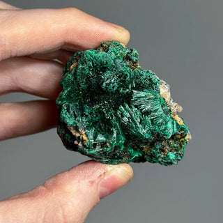 Silky Malachite Clusters