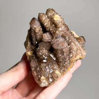 Spirit Quartz & Witches Finger Clusters
