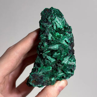 Silky Malachite Clusters
