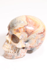 Crazy Lace Agate 2" Skull - Forgotten Rarities