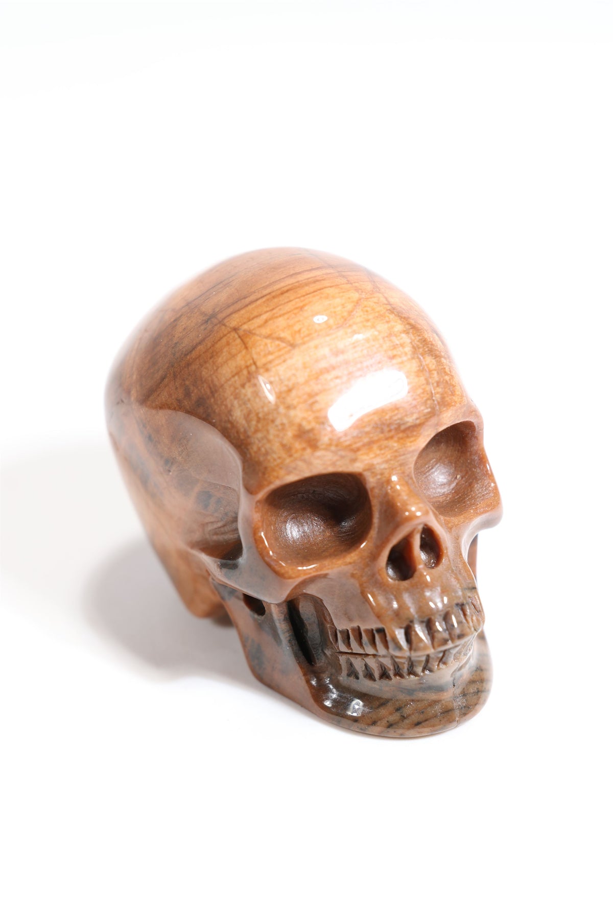 Petrified Wood 2" Skull - Forgotten Rarities