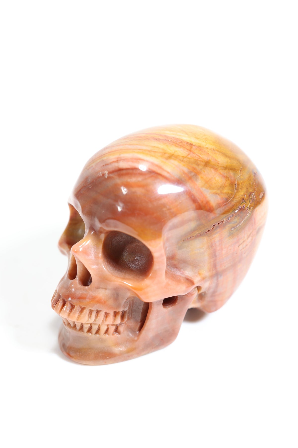 Petrified Wood 2" Skull - Forgotten Rarities