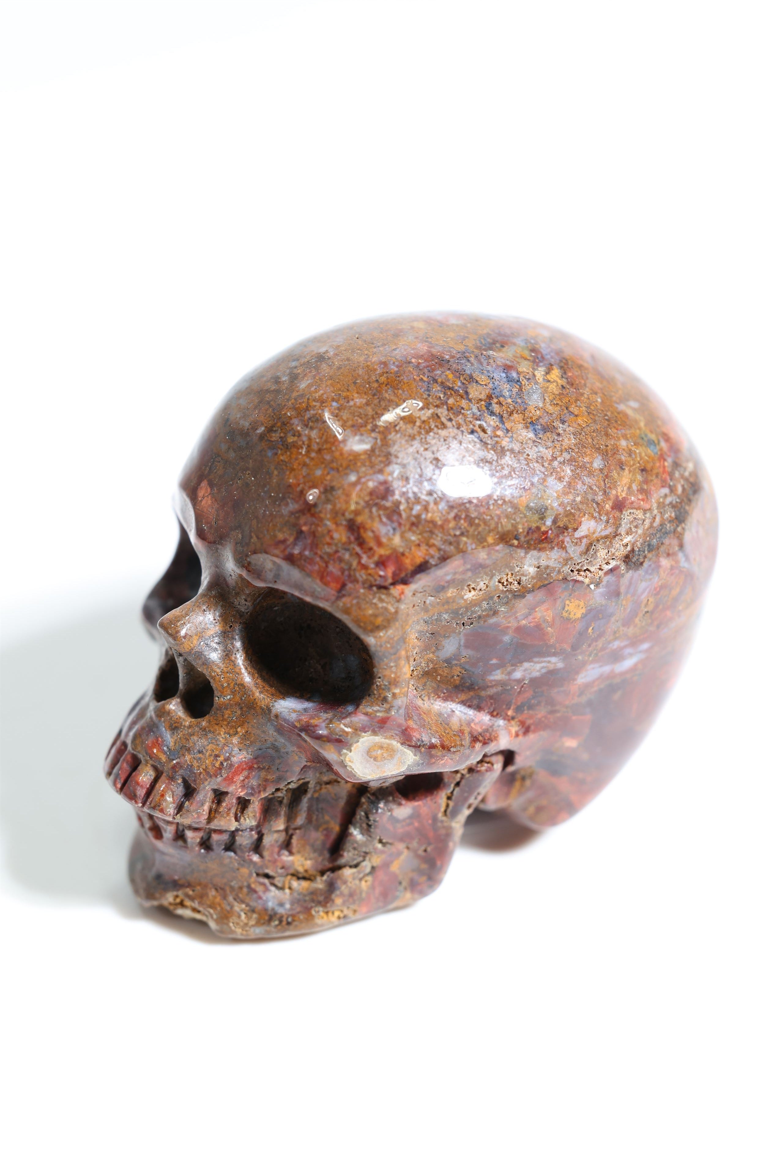 Pietersite 2" Skull - Forgotten Rarities