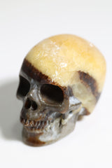 Septarian 2" Skull - Forgotten Rarities