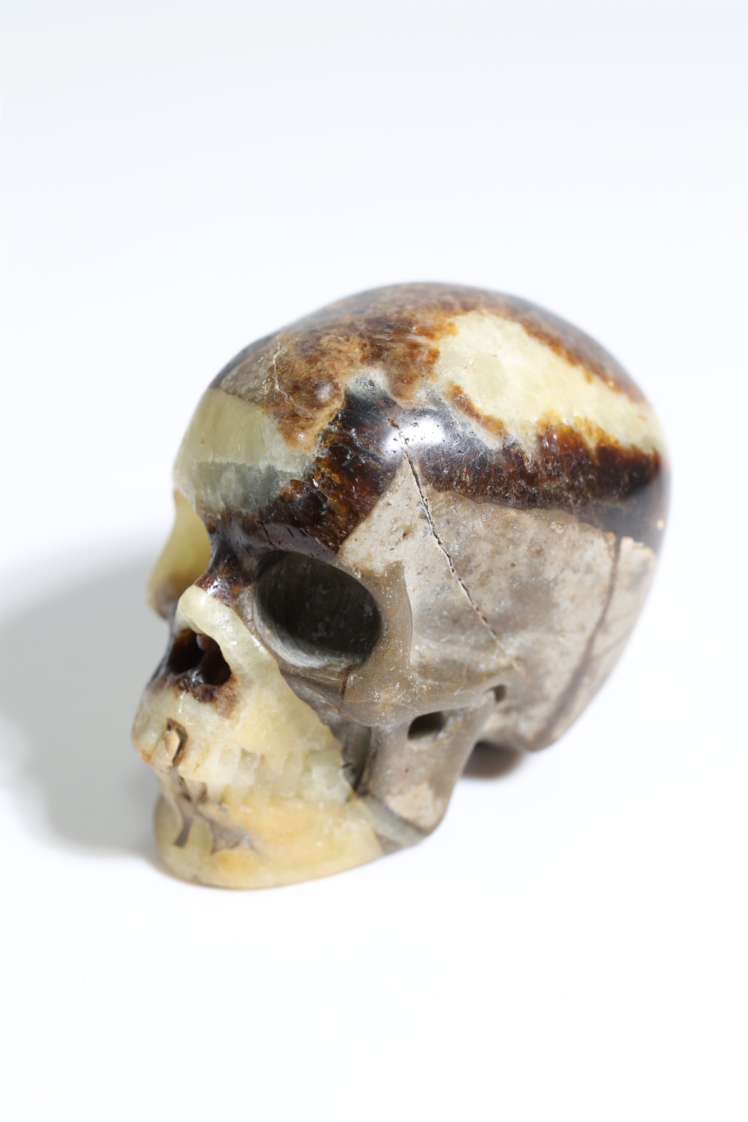 Septarian 2" Skull - Forgotten Rarities