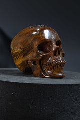 Tigers Iron Skull Carving