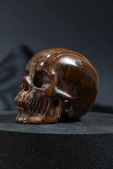 Tigers Iron Skull Carving