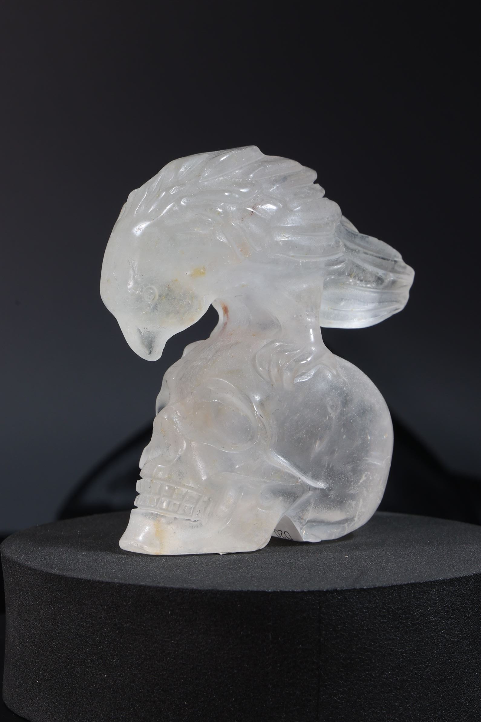 Clear Quartz Skull + Bird Carving