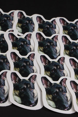 Who Dog - 'How Can You Be Mad At Me?' Meme Sticker