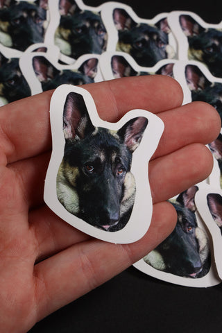 Who Dog - 'How Can You Be Mad At Me?' Meme Sticker