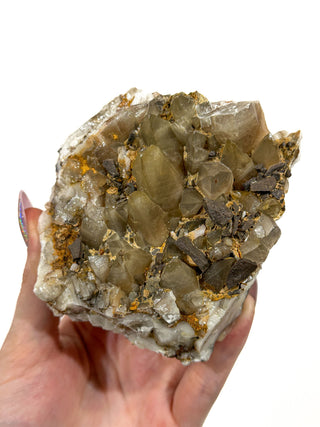 Dog Tooth Calcite Cluster - Forgotten Rarities