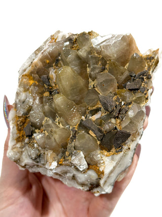 Dog Tooth Calcite Cluster - Forgotten Rarities