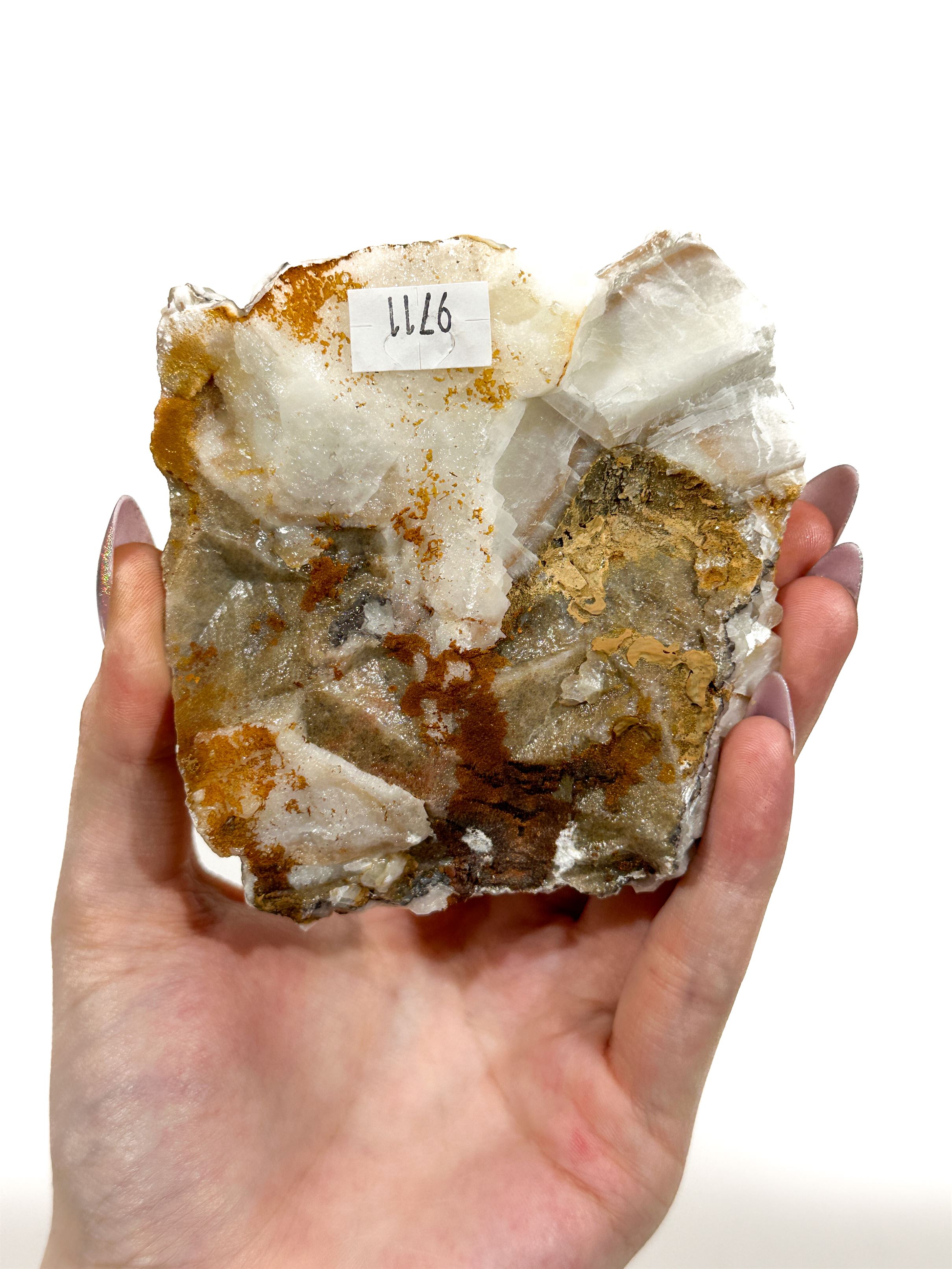 Dog Tooth Calcite Cluster - Forgotten Rarities