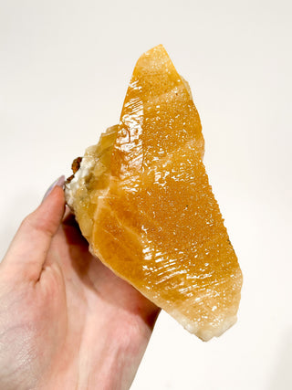 Dog Tooth Calcite Point - Forgotten Rarities