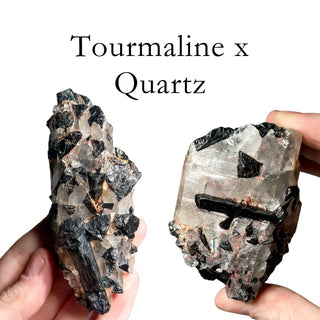 High Grade Tourmaline In Quartz Specimens