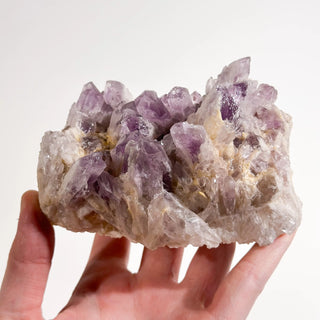 Sugar Amethyst Cluster