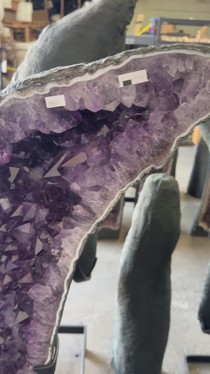 Amethyst Butterfly