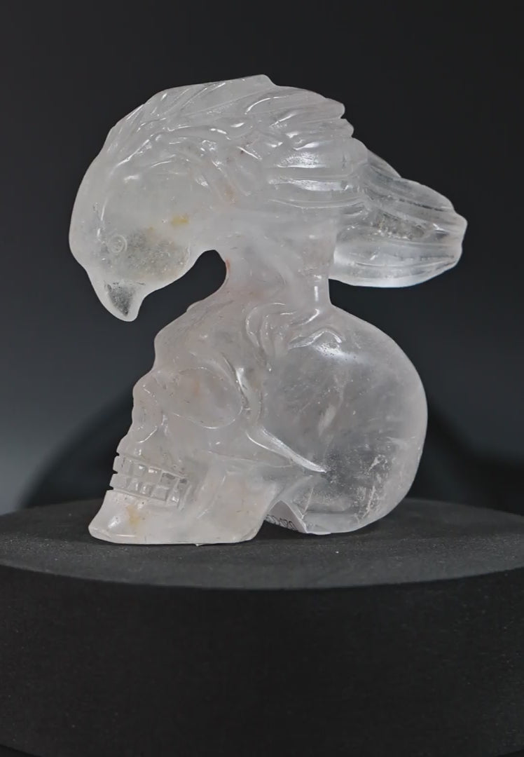 Clear Quartz Skull + Bird Carving