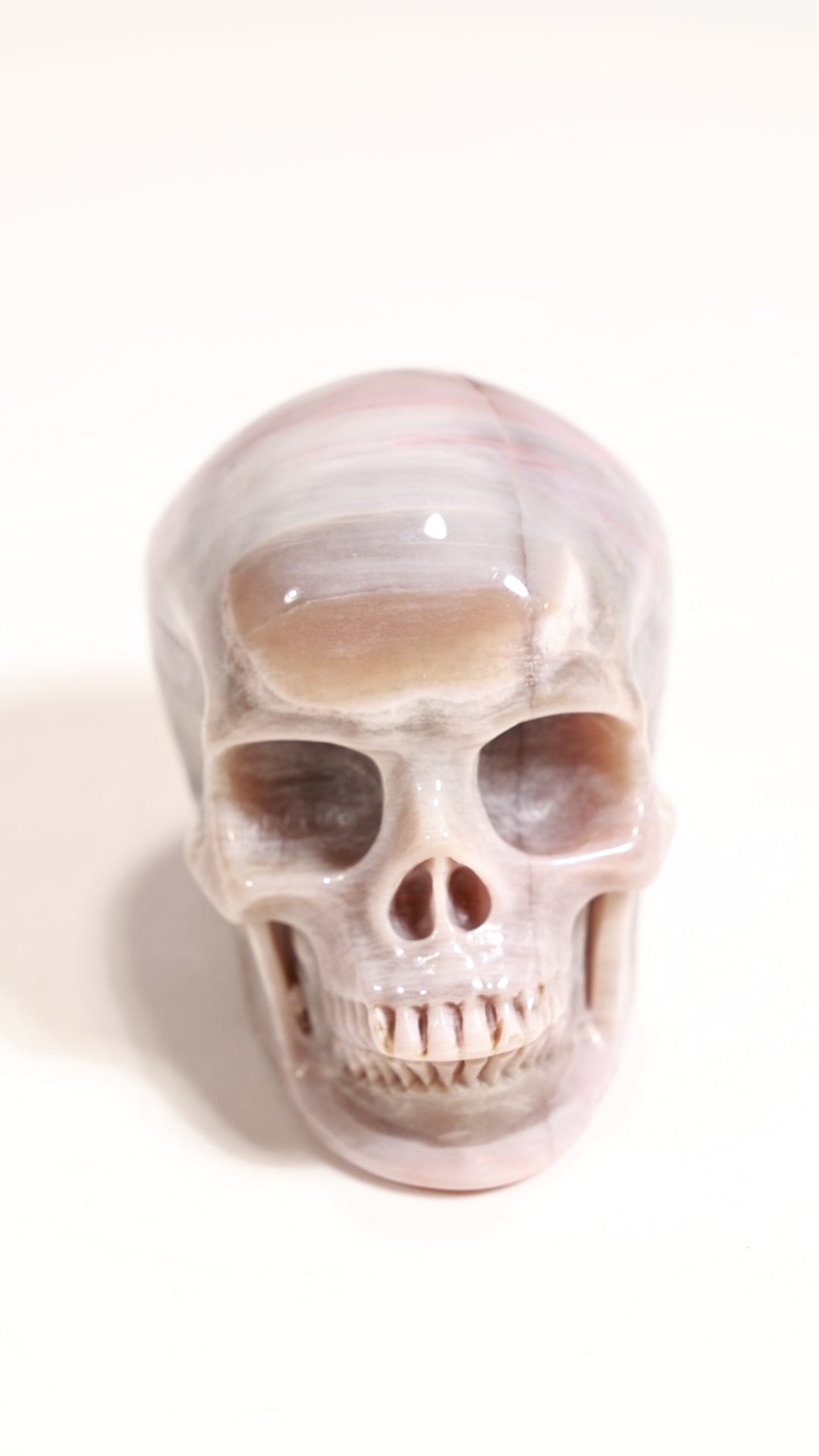 Petrified Wood 2" Skull