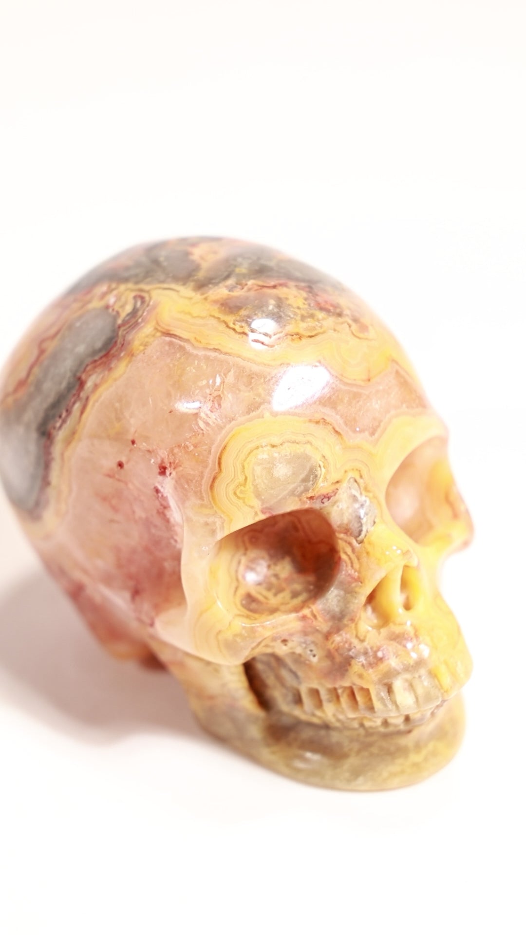 Crazy Lace Agate 2" Skull